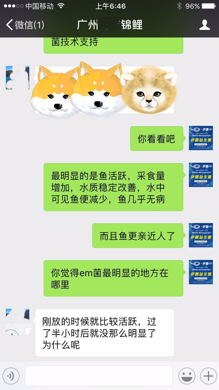 廣州劉志錦鯉反饋.jpg